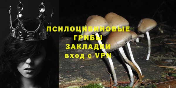 стафф Балахна