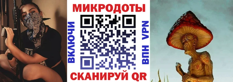 наркотики Унеча Галлюциногенные грибы Psilocybe